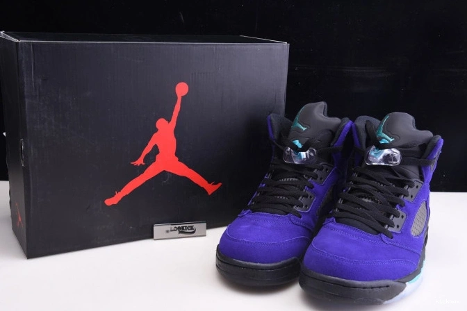Rep Air Jordan Alternate 136027-500 Retro Grape 5 0811